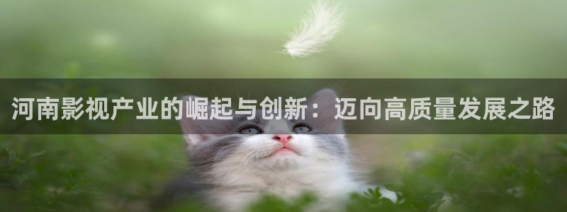 久久午夜桃子影院