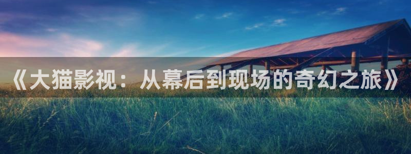 桃子电影免费在线观看：《大猫影视：从幕后到现场的奇幻之旅》