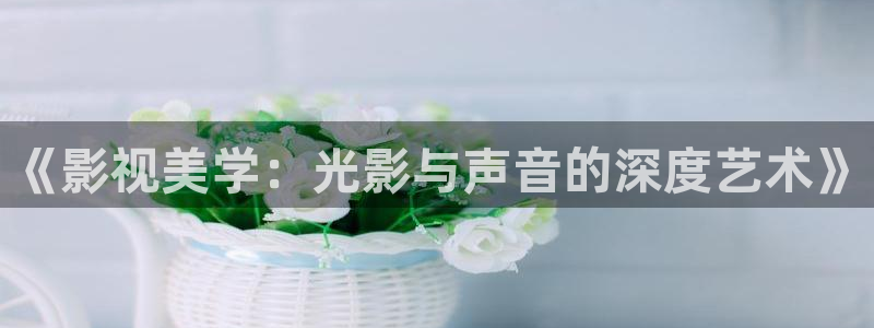 桃子吧影视：《影视美学：光影与声音的深度艺术》