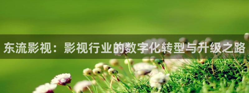 蜜桃在线免费影院桃子影视：东流影视：影视行业的数字化转型与升级之路